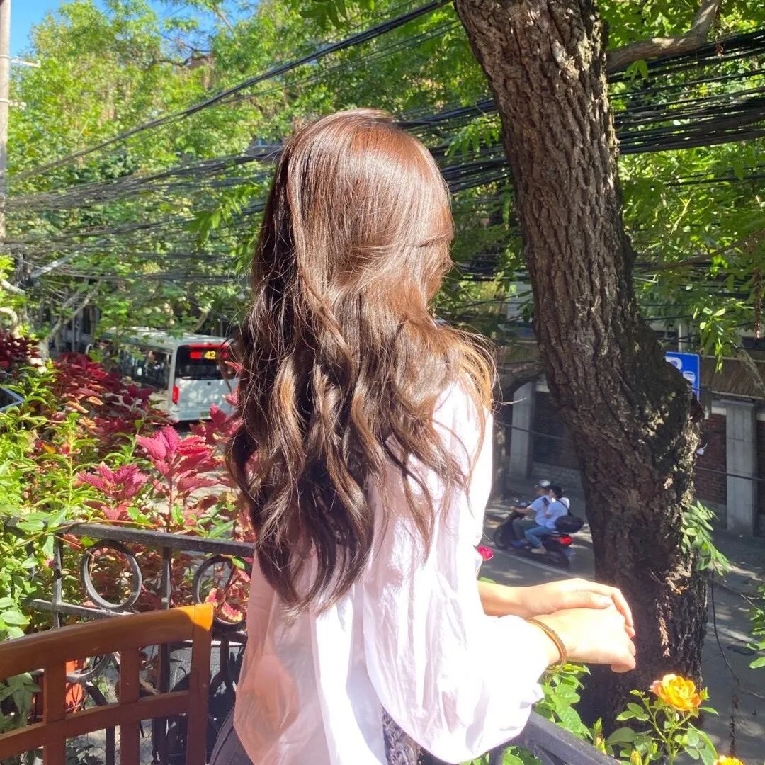 杀狼花