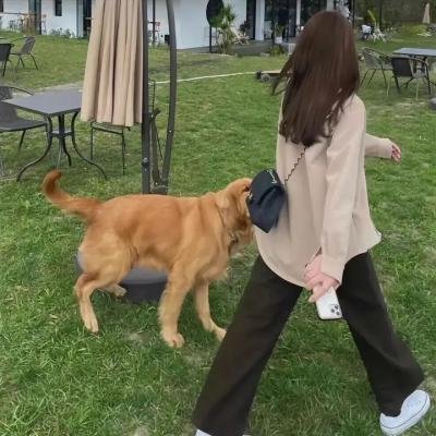 邻家怪男孩