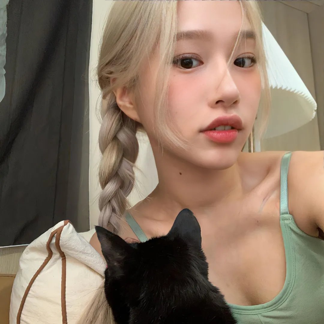 鼠洞里的好朋友